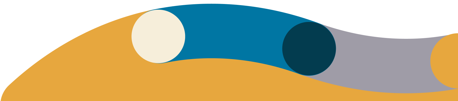 Vector